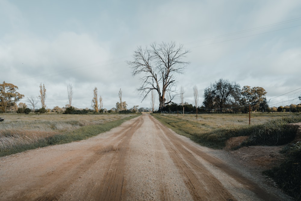 brown dirt road between brown grass field under white clouds during daytime