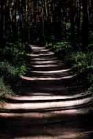 A dark forest path illuminated by a single beam of light, representing the journey through challenge.