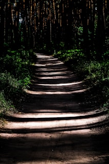 A dark forest path illuminated by a single beam of light, representing the journey through challenge.