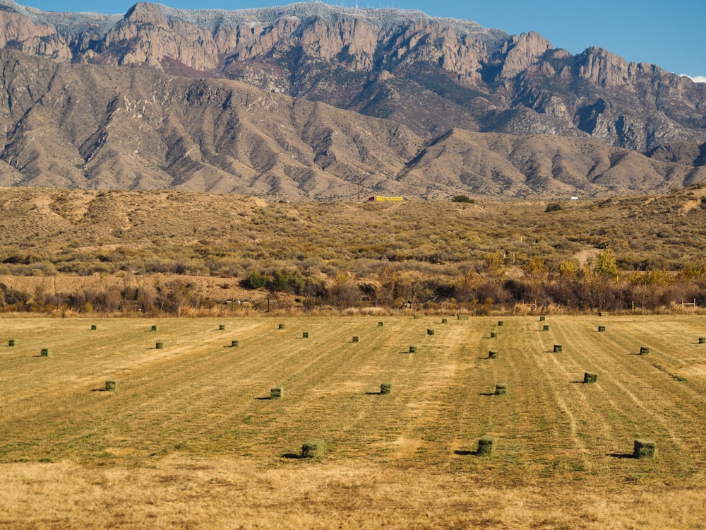 brown grass field near brown mountain during daytime