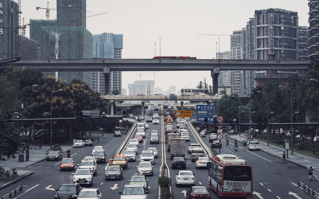 cars on road near bridge during daytime