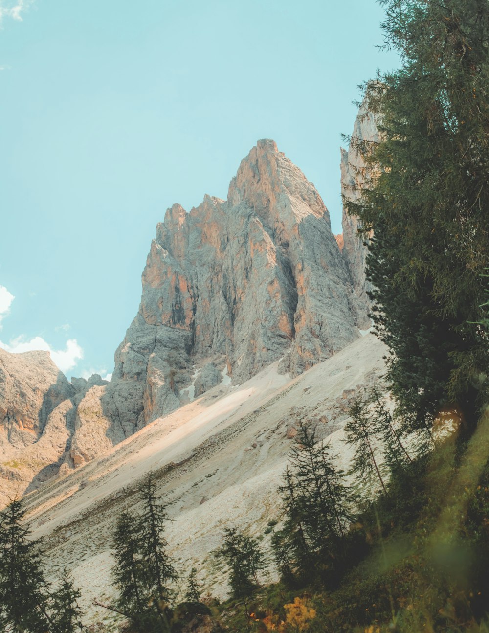 green trees near brown rocky mountain under blue sky during daytime