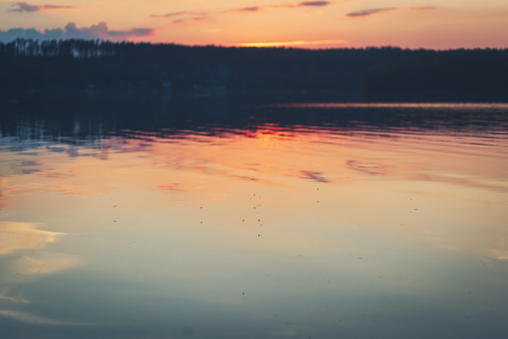 body of water near trees during sunset