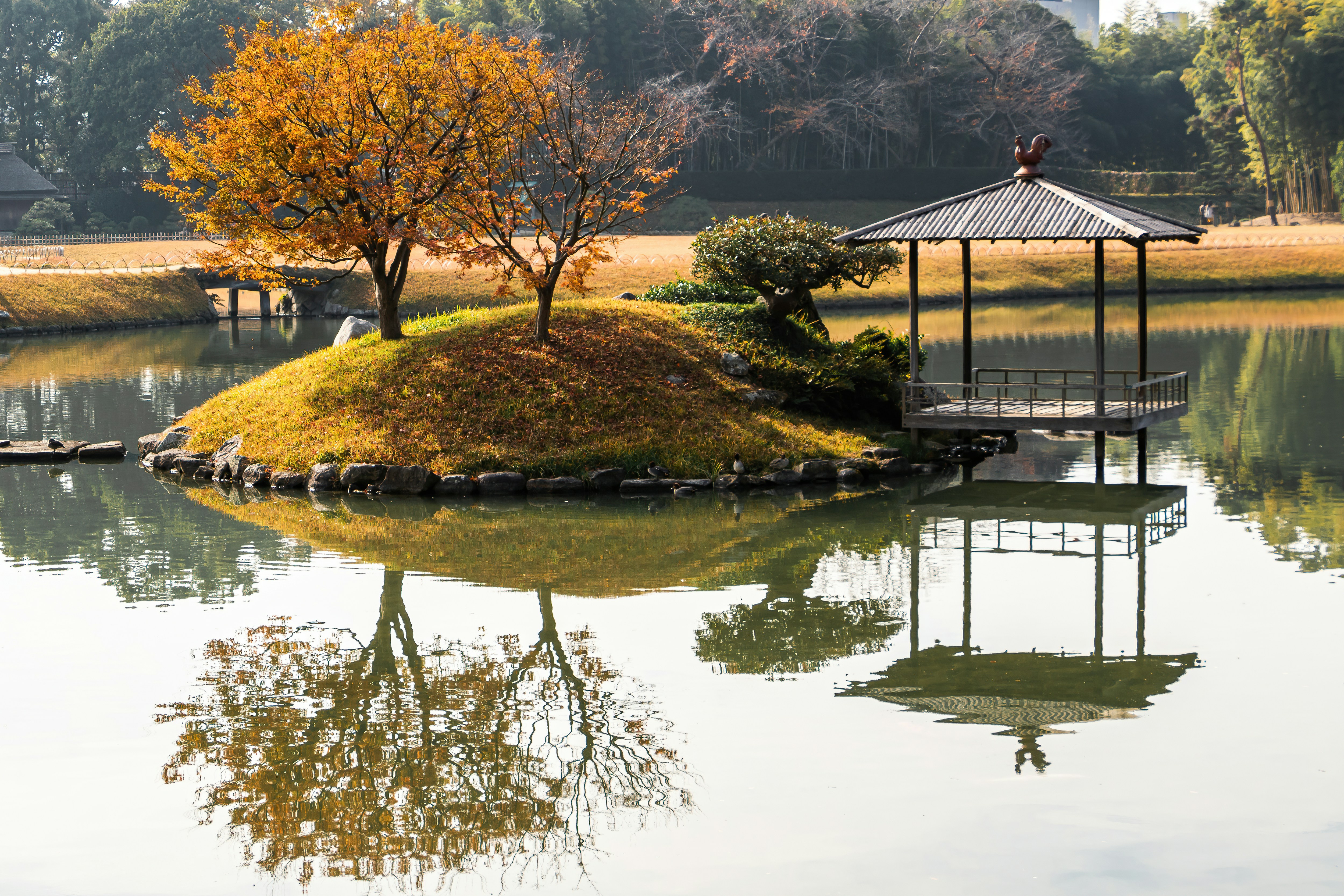 white and black house near green trees and body of water during daytime