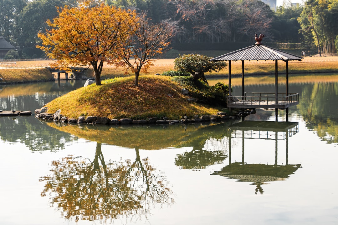 white and black house near green trees and body of water during daytime