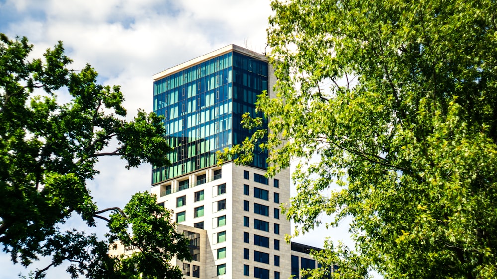 blue and white concrete building near green trees during daytime