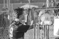 A young person with curly hair is wearing a sports jersey with the number 9 and looking through a chain-link fence. There are several baseballs and a lineup of baseball bats held in place on the fence. The lighting suggests a late afternoon or early morning setting, casting various shadows. A piece of paper is clipped to the fence in the foreground, possibly a lineup or score sheet.