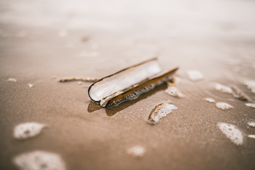 silver nail cutter on white sand