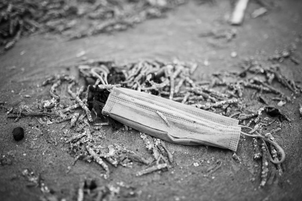 grayscale photo of rolled paper on ground