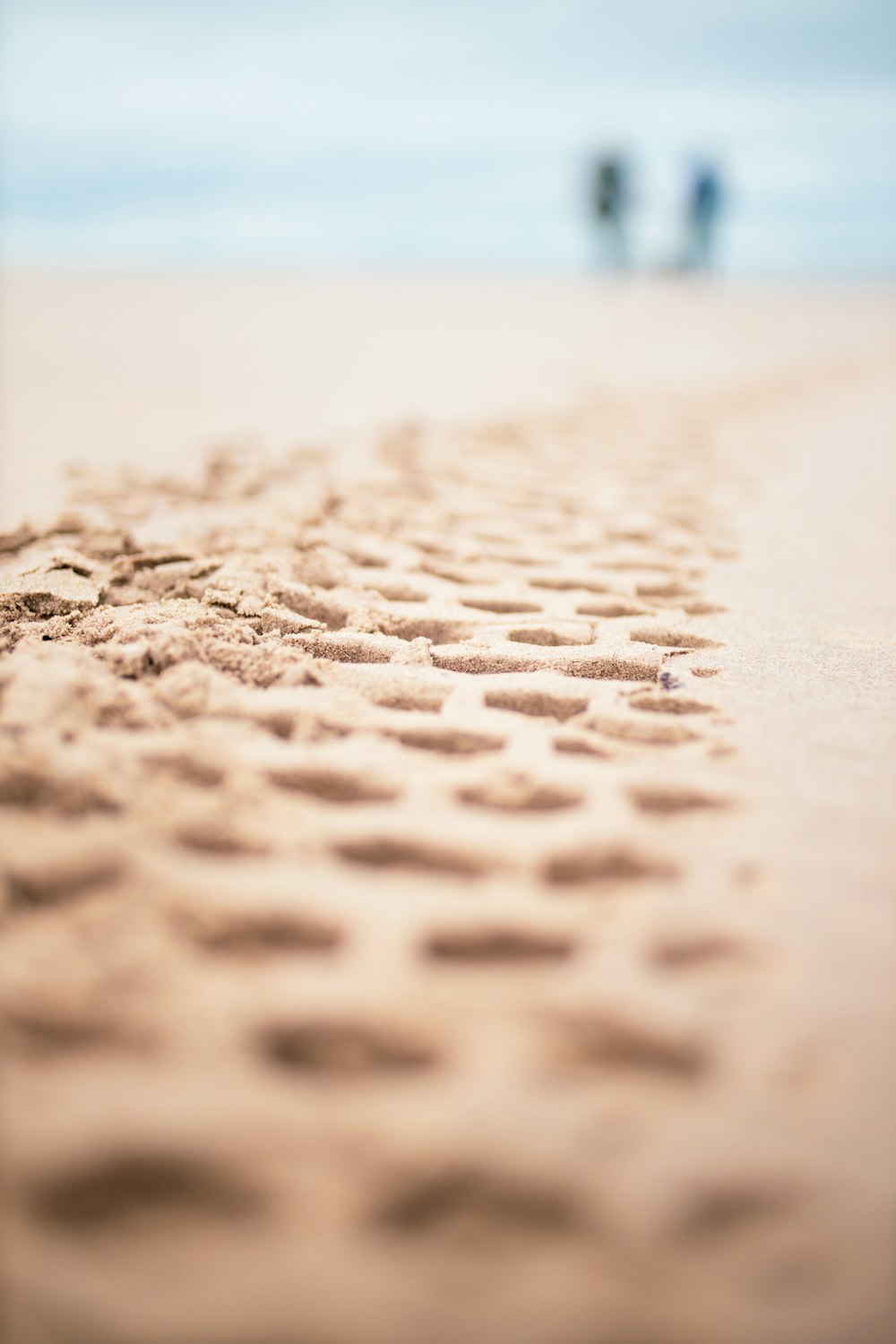 sand with water droplets during daytime
