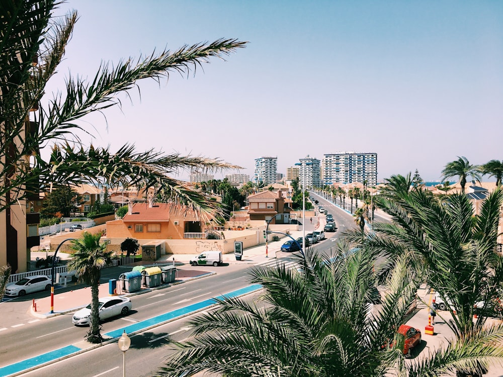 green palm trees near white and brown concrete building during daytime