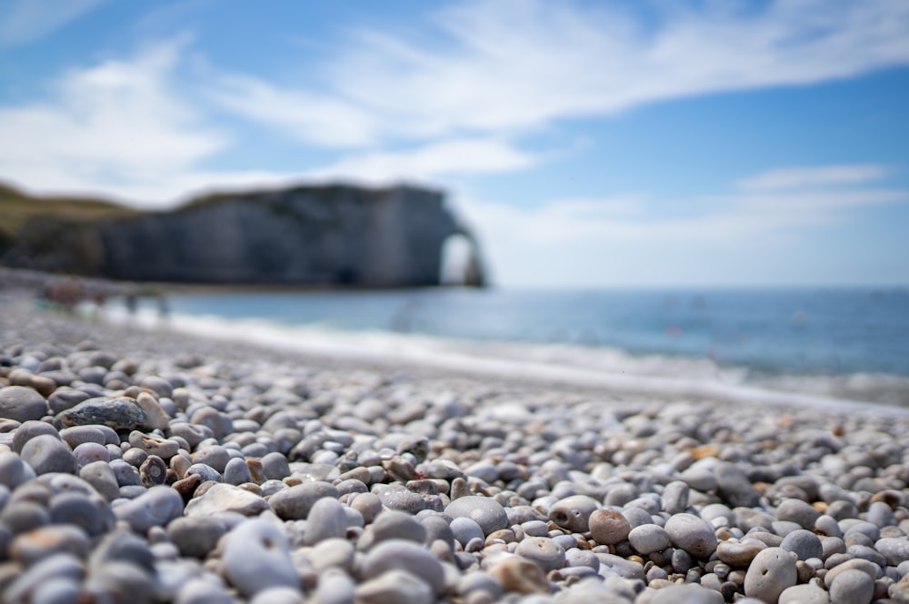 white and gray pebbles on beach shore during daytime