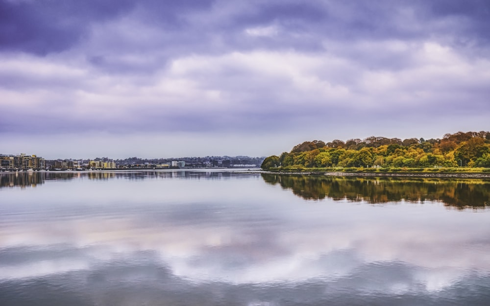 a large body of water surrounded by trees