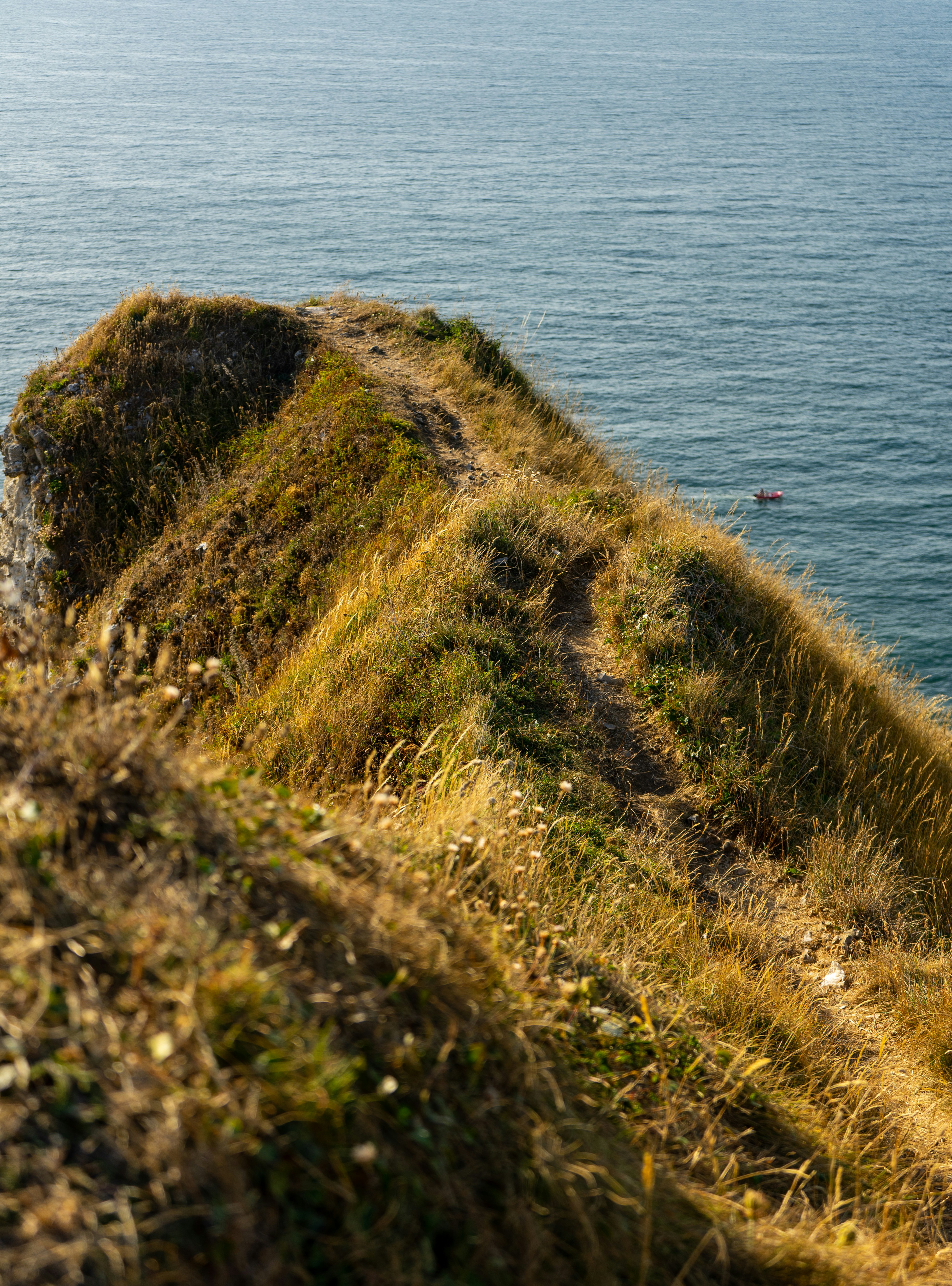 Photo by razvan_mirel