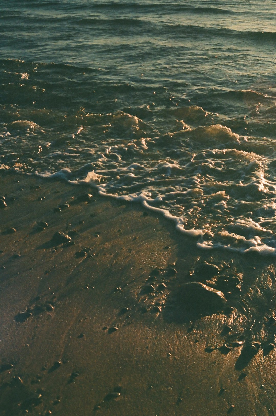 brown sand near body of water during daytime