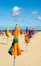 people in beach during daytime