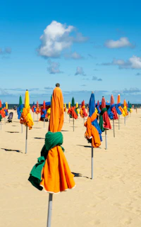 people in beach during daytime