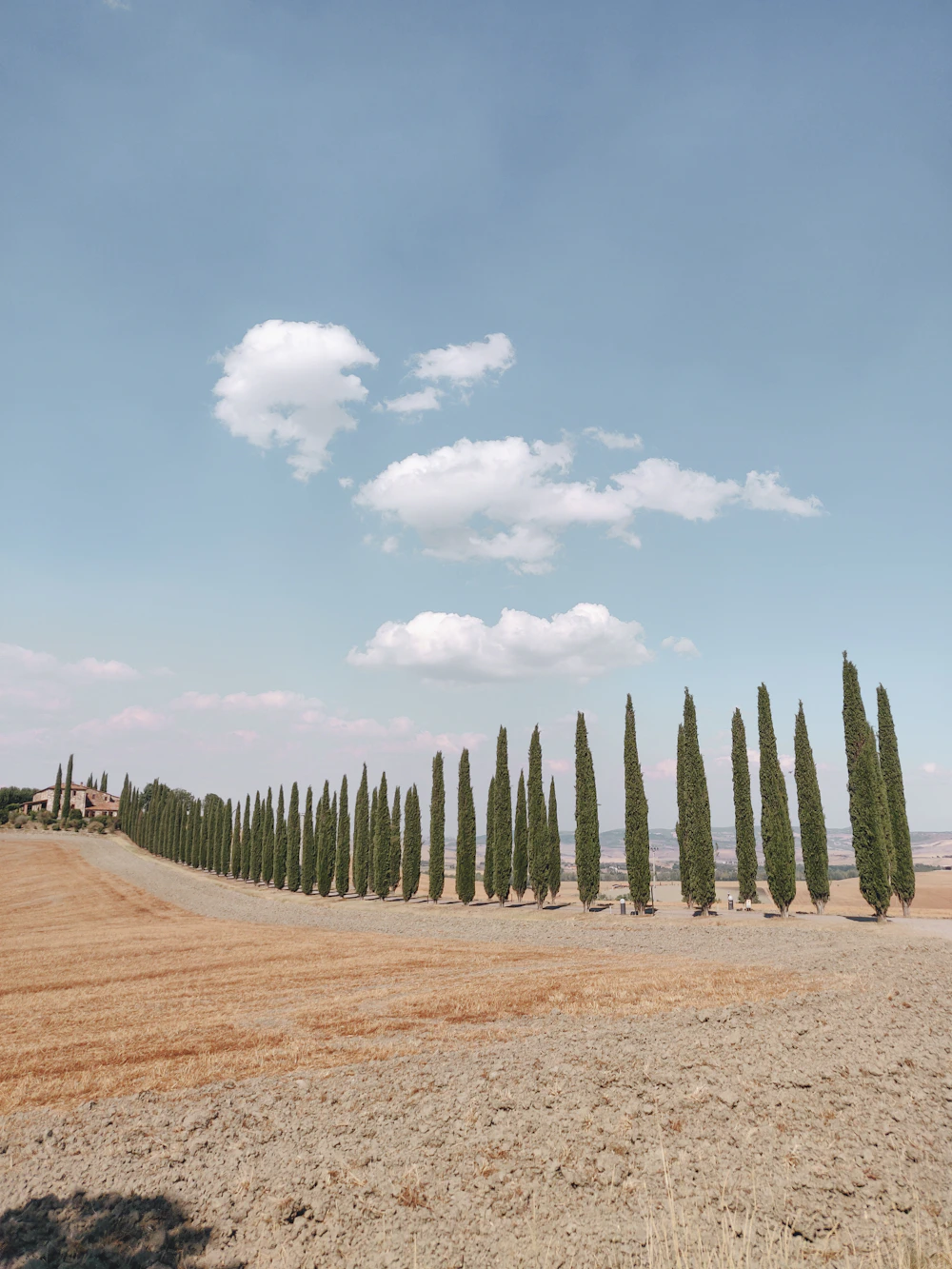 A cypress road through the Val d’Orcia