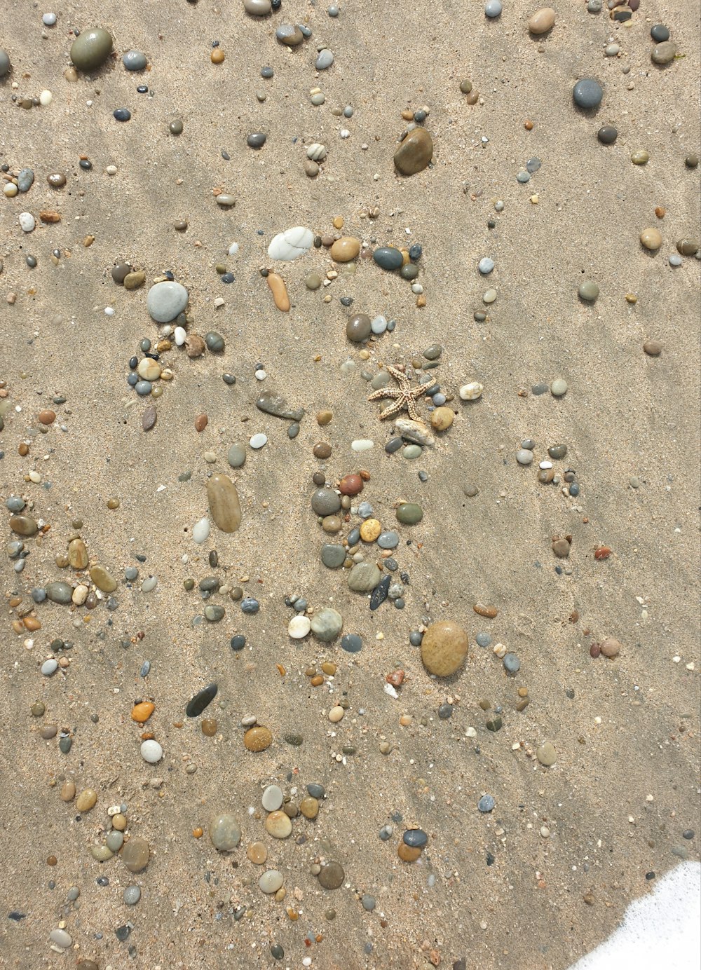 white and brown pebbles on brown sand
