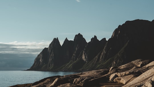 brown rocky mountain near body of water during daytime in Senja Norway