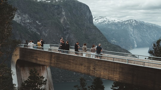 people standing on brown wooden bridge over river during daytime in Flam Norway