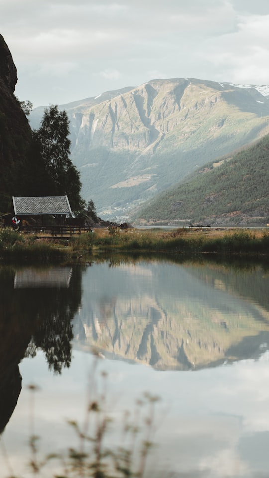 brown wooden house on green grass field near lake and snow covered mountain during daytime in Flam Norway