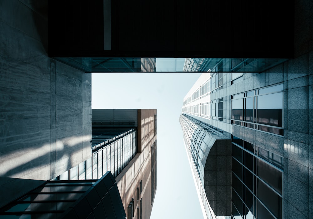 white and black glass walled building