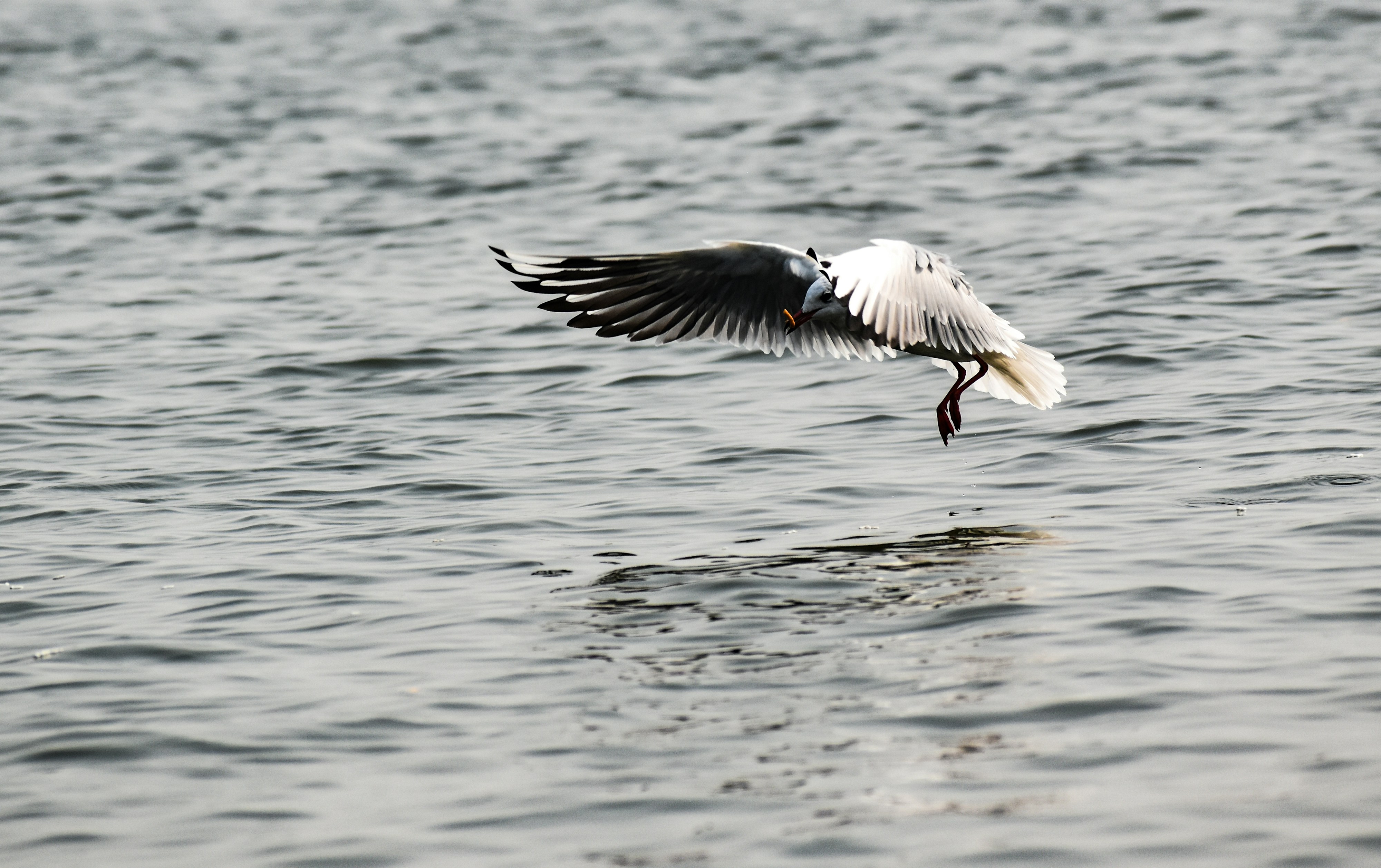 Photo by devansh_photogapher