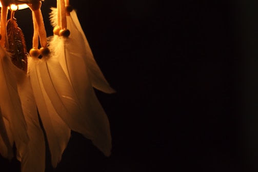 Close-up of a rattle adorned with feathers and beads, glowing softly in natural light.