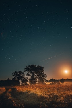 A serene landscape featuring a starry night sky over a tranquil field.