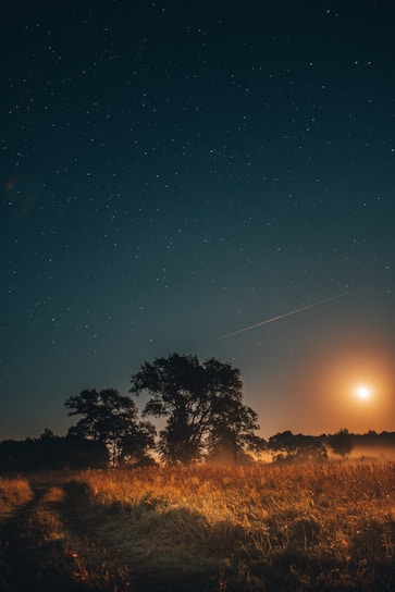 A serene landscape featuring a starry night sky over a tranquil field.