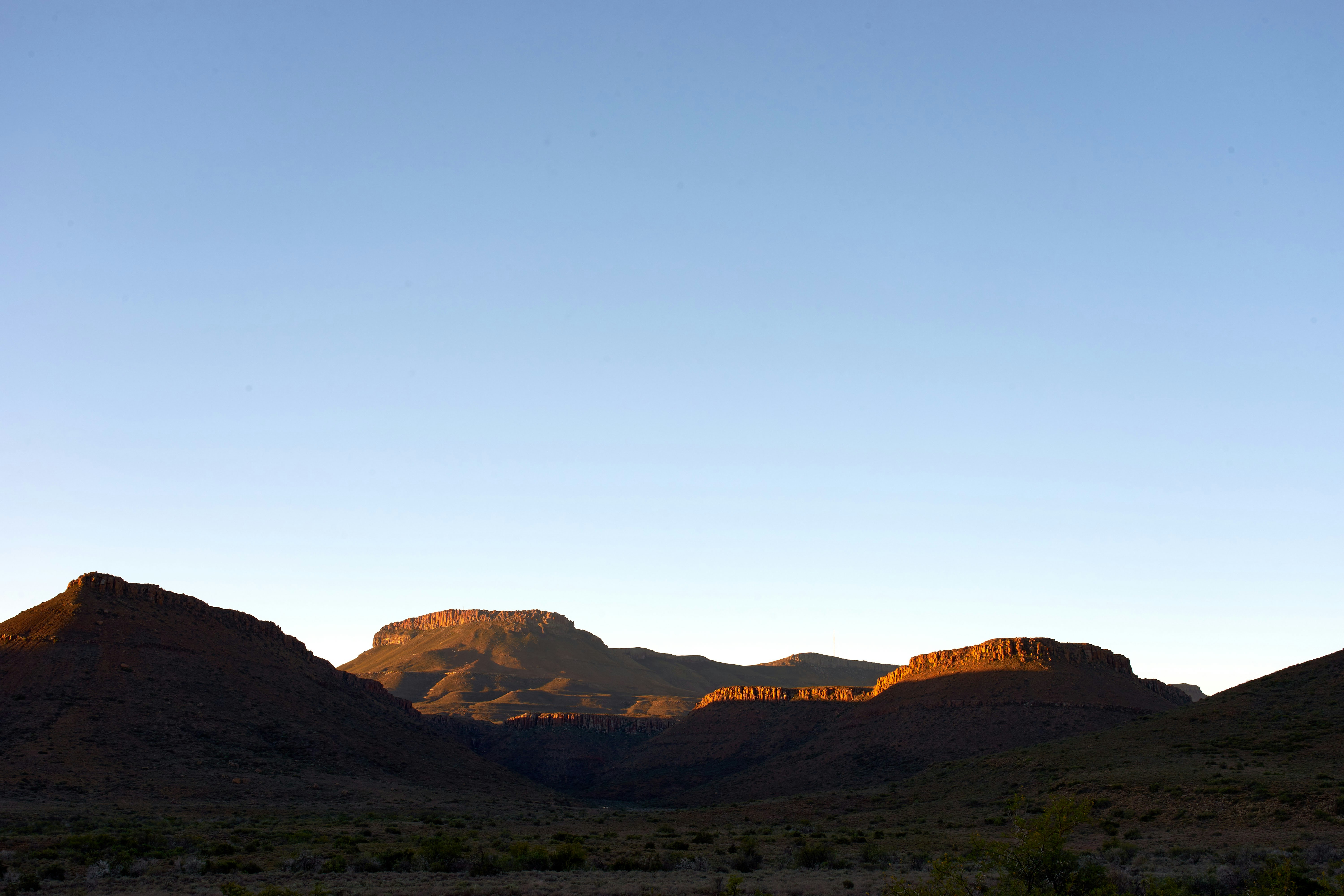 Photo by wolfgang_hasselmann