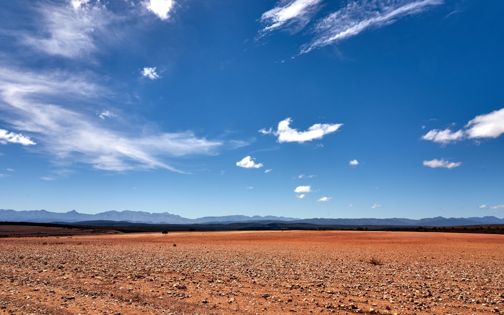 brown field under blue sky during daytime