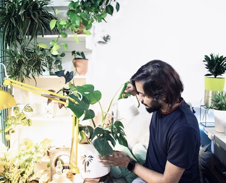 A person with medium-length hair is tending to potted plants indoors, pouring water from a small watering can. The space is filled with a variety of green plants, both hanging and placed on shelves. The scene is well-lit, with a yellow desk lamp adding to the bright ambiance.