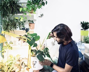 A person with medium-length hair is tending to potted plants indoors, pouring water from a small watering can. The space is filled with a variety of green plants, both hanging and placed on shelves. The scene is well-lit, with a yellow desk lamp adding to the bright ambiance.