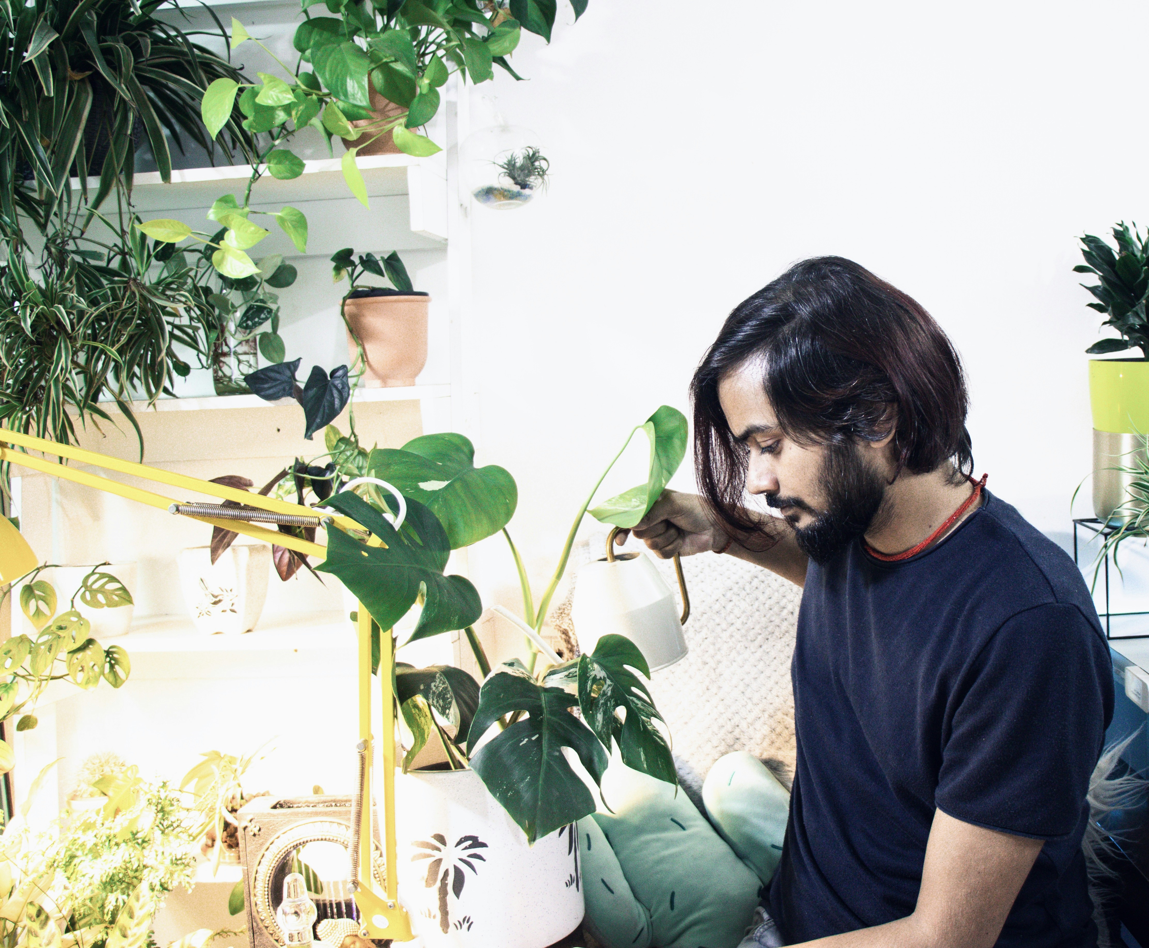 A weekend with my plants