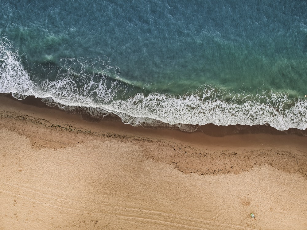 aerial view of beach during daytime