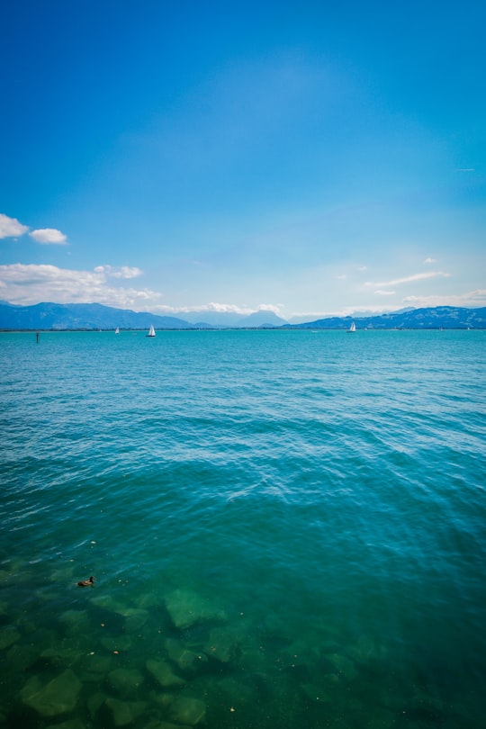 body of water under blue sky during daytime in Bodensee Germany