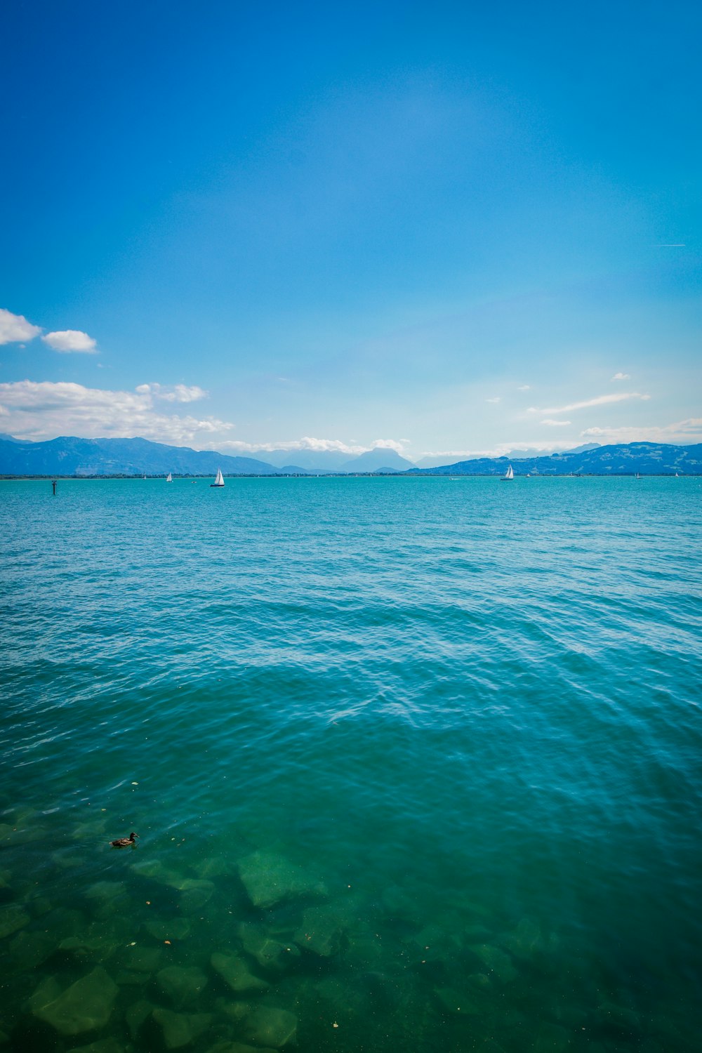 body of water under blue sky during daytime