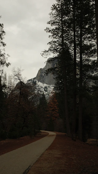 A serene mountain trail winding through dense forest under a moody, overcast sky.