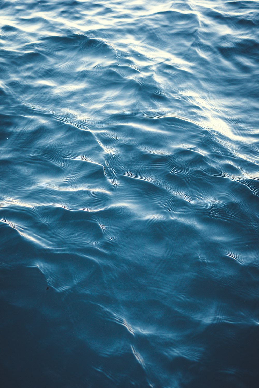 close up photo of body of water