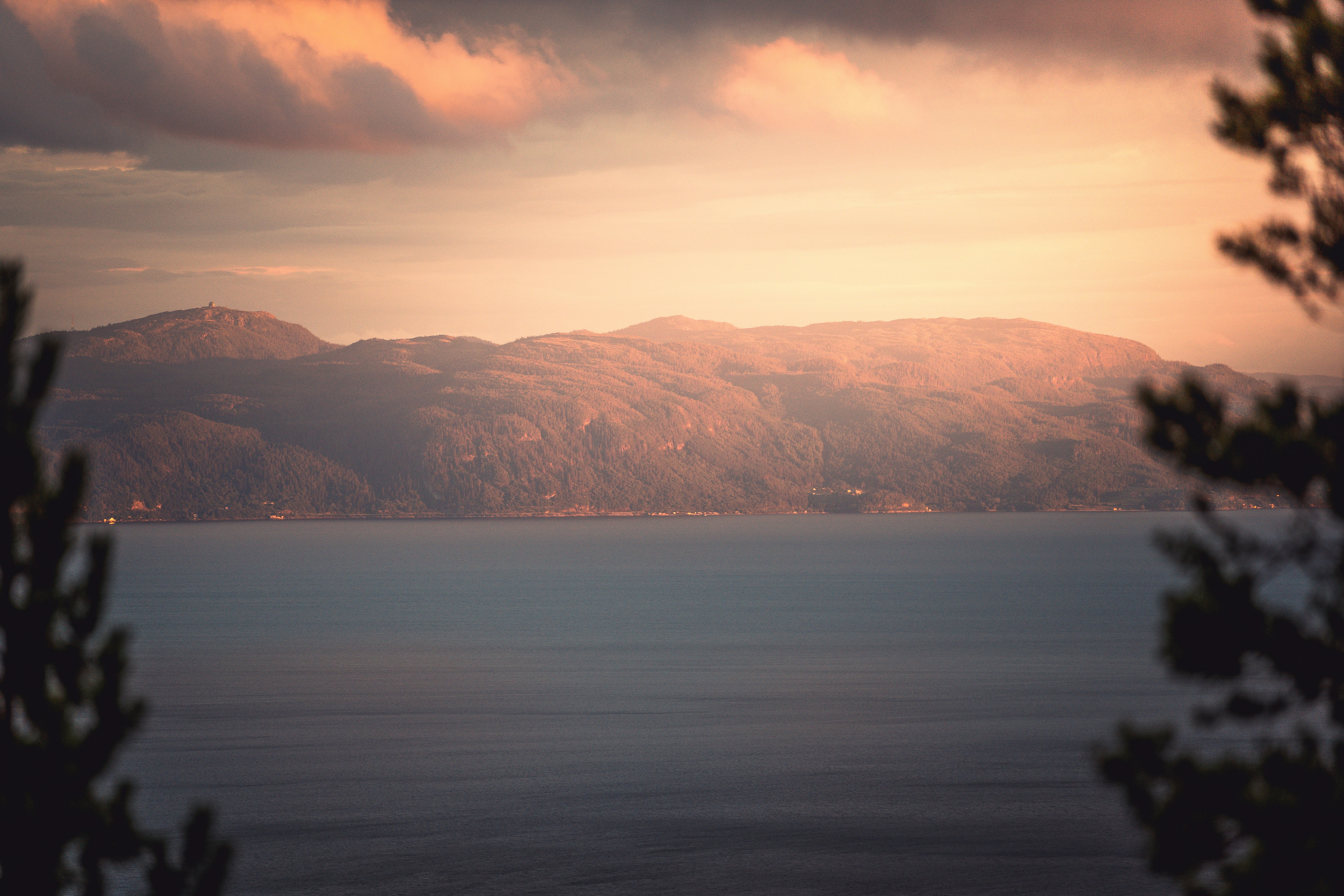 Photo by beckerworks