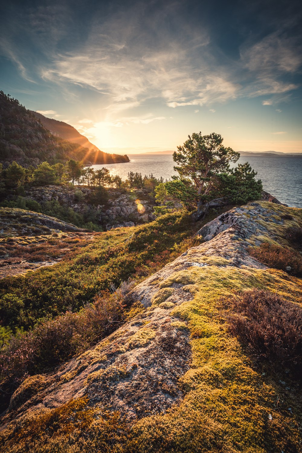 green trees on brown mountain near body of water during daytime