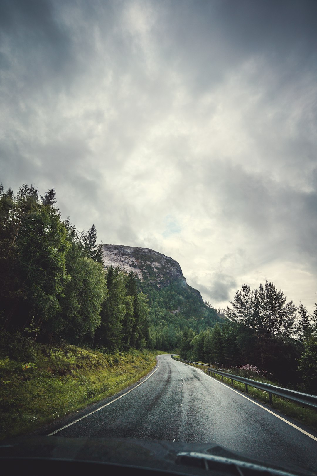 gray asphalt road between green trees under gray cloudy sky during daytime