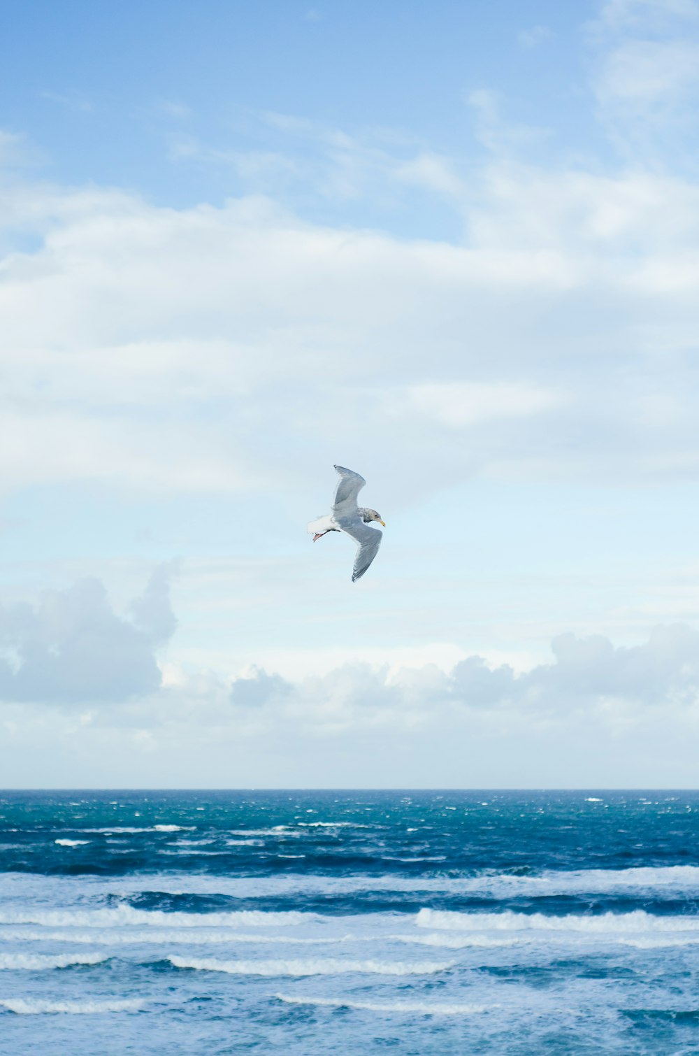 white bird flying over the sea during daytime