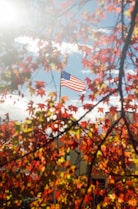 us a flag on tree