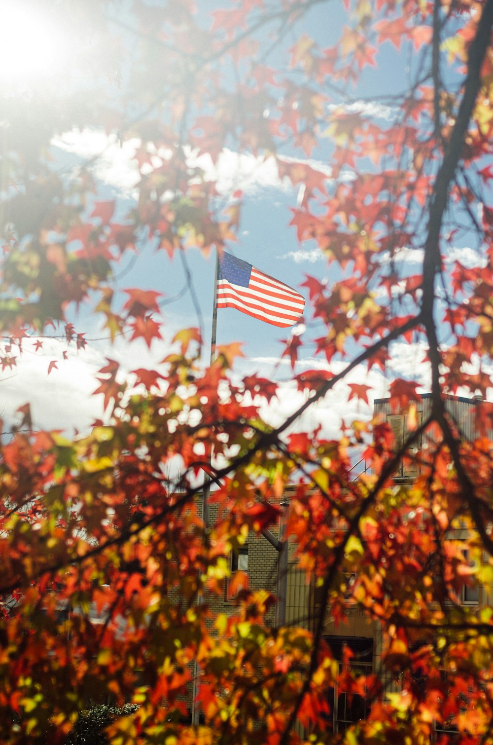 us a flag on tree