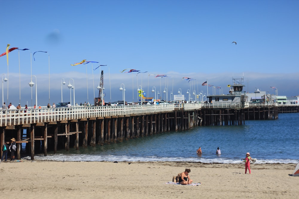 people on beach during daytime