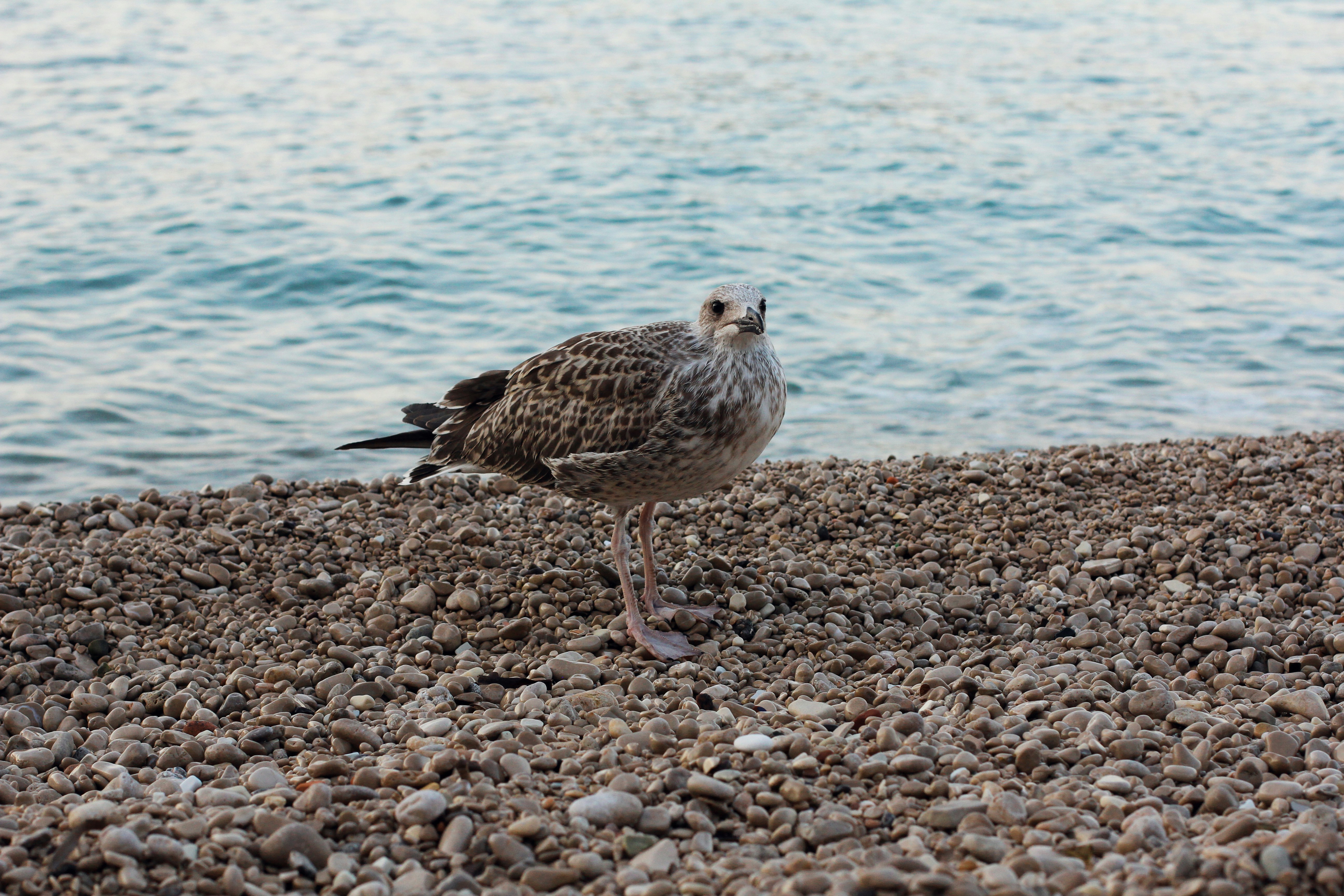 Photo by denis96