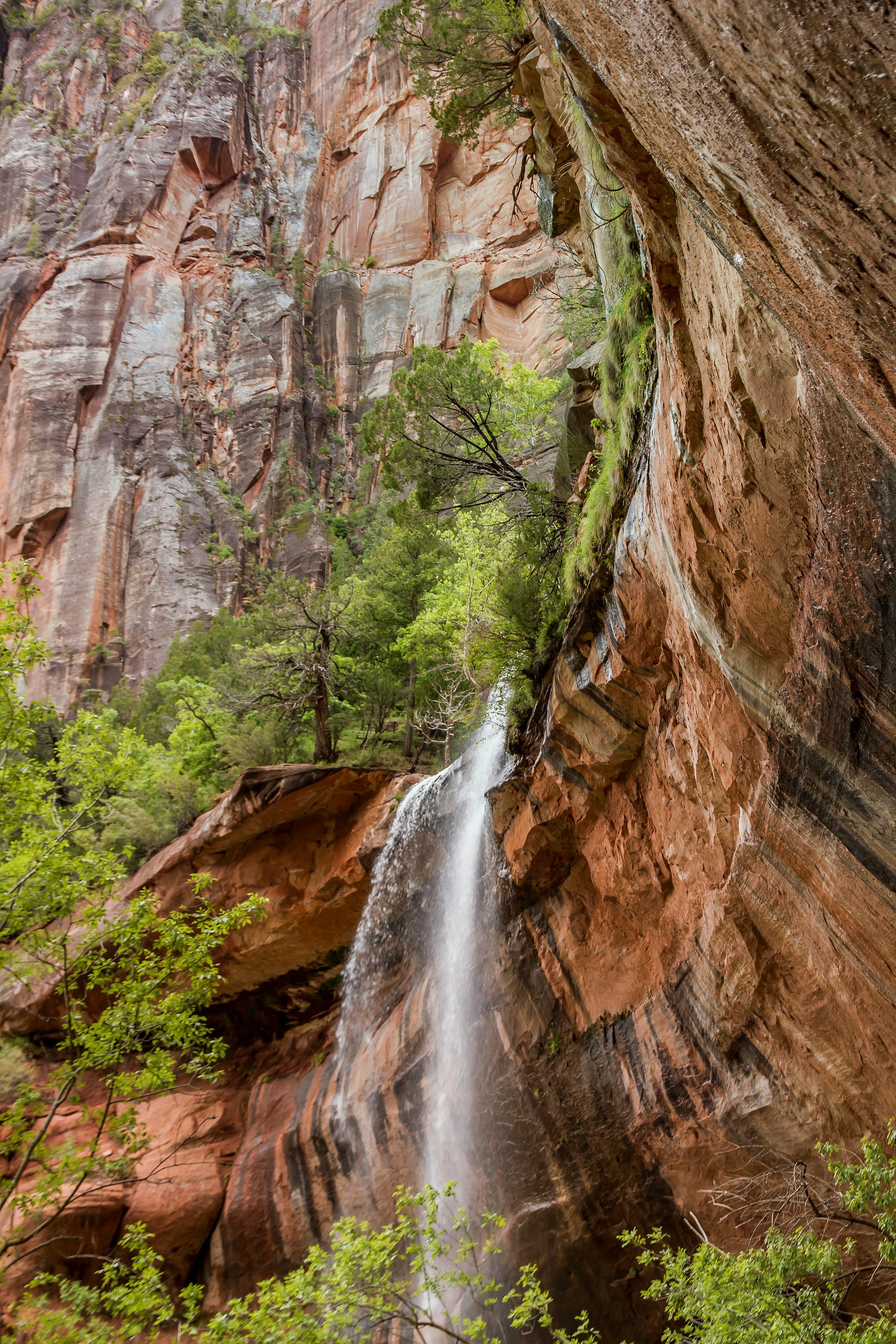 waterfalls in the middle of the forest